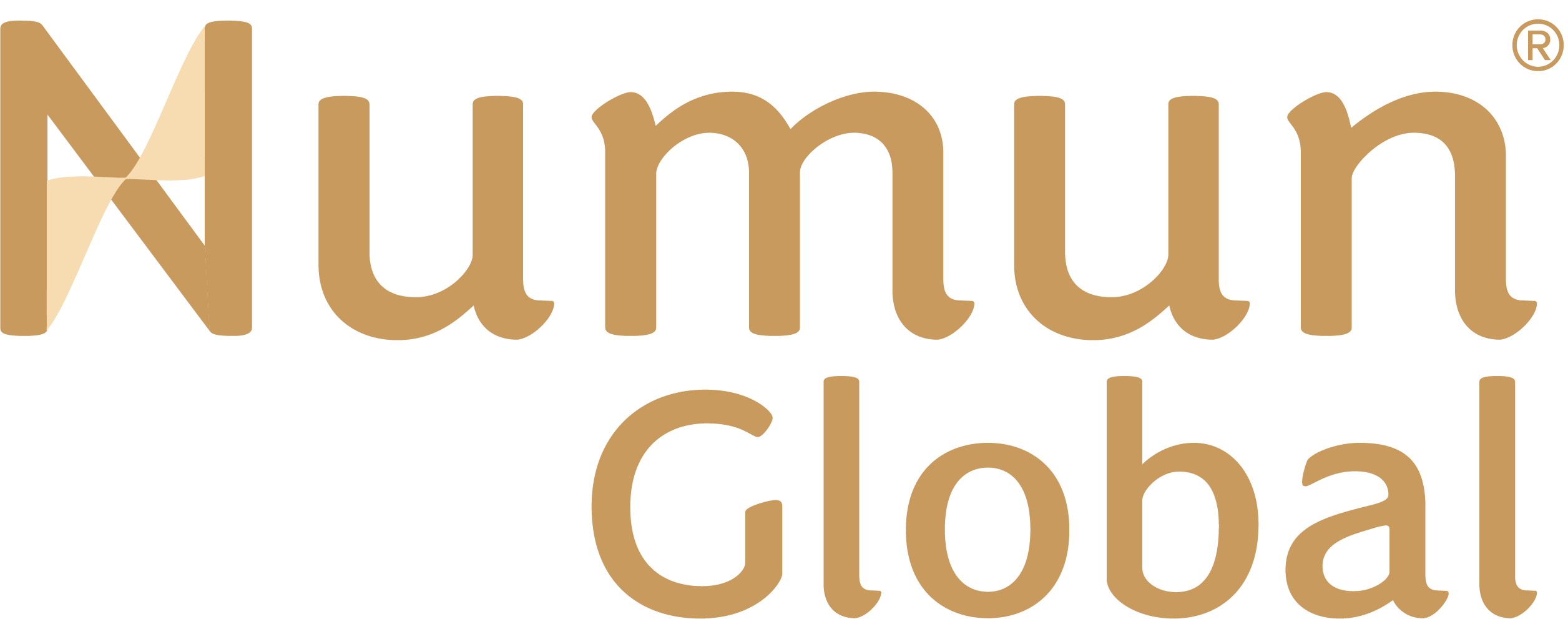 Numun Global